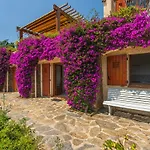 Maison Heliosa By Interhome * בורם-לה-מימוזה